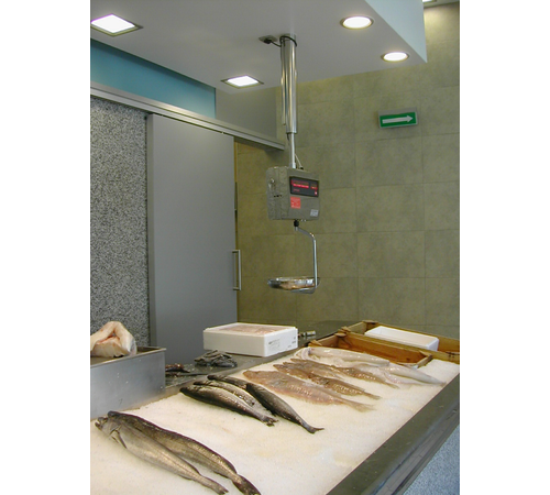 Pescaderia11