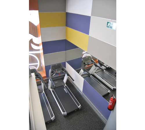 gimnasio10