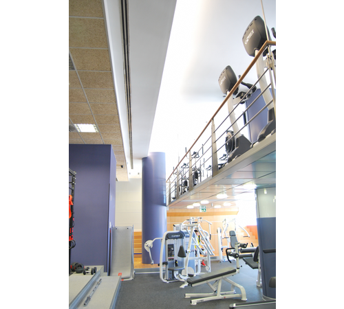 gimnasio11